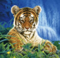Malý tiger - Joh Naito