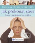 Kniha: Jak překonat stres (Svojtka&Co.)