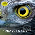 Dravci a sovy, 2019