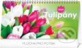 Tulipány 2020, Presco Group, 2019