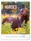 Nástěnný kalendář Horses 2020 - Christiane Slawik, 2019