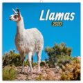 Poznámkový kalendář / kalendár Lamas 2020, Presco Group, 2019