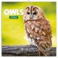 Poznámkový kalendář / kalendár Owls 2020, Presco Group, 2019