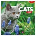Poznámkový kalendář / kalendár Cats 2020, Presco Group, 2019