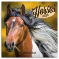 Poznámkový kalendář / kalendár Horses 2020 - Christiane Slawik, Národné lesnícke centrum, 2019