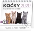 Stolní kalendář Kočky 2020, Presco Group, 2019