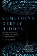 Something Deeply Hidden - Sean Carroll, Oneworld, 2019