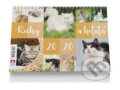 Kočky a koťata - stolní kalendář 2020, VIKPAP, 2019