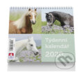 Koně - stolní kalendář mini 2020, 2019