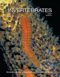 Kniha: Invertebrates (Richard C. Brusca). Oxford University Press, 2016