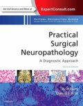 Practical Surgical Neuropathology: A Diagnostic Approach - Arie Perry, Daniel J. Brat, Elsevier Science, 2018