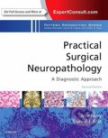 Kniha: Practical Surgical Neuropathology: A Diagnostic Approach (Arie Perry a Daniel J. Brat). Elsevier Science, 2018