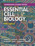 Essential Cell Biology - Bruce Alberts, Karen Hopkin, Alexander D. Johnson, David Morgan, Martin Raff, Keith Roberts, Peter Walter, W. W. Norton & Company, 2019