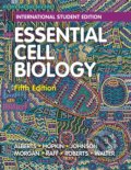 Kniha: Essential Cell Biology (Alexander D. Johnson, Bruce Alberts, David Morgan, Karen Hopkin, Keith Roberts, Martin Raff a Peter Walter). W. W. Norton & Company, 2019