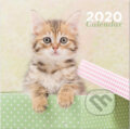 Kalendář 2020 16 měsíců: Kočky/Koťata, , 2019