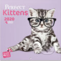 Kalendář 2020 16 měsíců: Kočky/Koťata, , 2019