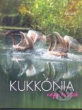 Kniha: Kukkónia - Négy évszak (Éva Nagyvendégi a Krisztina Ando). LOAR, 2017