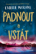 E-kniha: Padnout a vstát (Estelle Maskame), 2019