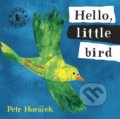 Kniha: Hello, Little Bird (Petr Horáček). Walker books, 2009