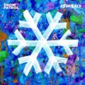 Hudební CD: Snow Patrol: Reworkered (Hudobné albumy). Hudobné albumy, 2019