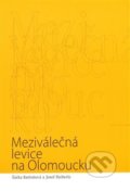 Meziválečná levice na Olomoucku - Šárka Bartošová, Josef Bieberle, Olomoucké vzdělávací sdružení, o.s., 2013