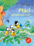 Ptáci - Friederun Reichenstetter, Hans-Günther Döring (Ilustrácie), Bookmedia, 2019