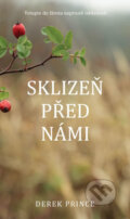 Kniha: Sklizeň před námi (Derek Prince). Kontakt.cz, 2018