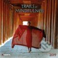 Trails of Mindfulness 2019, Tushita, 2018