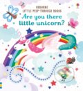 Are you there little unicorn - Sam Taplin, Sarah Allen (ilustrácie), Usborne, 2019