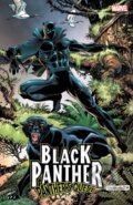 Kniha: Black Panther: Panther's Quest (Don McGregor). Marvel, 2018