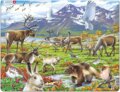 Puzzle: Arctic Land FH14 (Larsen). Larsen
