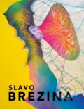 Slavo Brezina - monografia - Ľubomír Podušel, FO ART, 2019