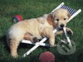 Puzzle: Relax (Ravensburger). Ravensburger