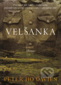 Kniha: Velšanka (Peter Ho Davies). BB/art, 2009