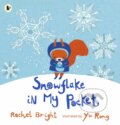 Snowflake in My Pocket - Rachel Bright, Yu Rong (ilustrácie), Walker books, 2016