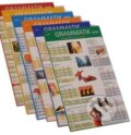 Kniha: Die Grammatik - 6 Plakate und Testheft (Renate Luscher). Max Hueber Verlag, 2006