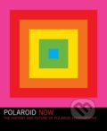 Kniha: Polaroid Now (Steve Crist). Chronicle Books, 2021