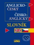 Anglicko-český česko-anglický kapesní slovník, Plot, 2020