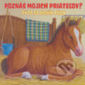 Kniha: Pýta sa koník Félix (Matys)