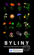 Kniha: Byliny (Svojtka&Co.). Svojtka&Co., 2009