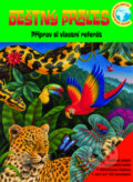 Kniha: Deštný prales (Rebo). Rebo, 2009