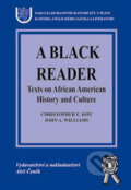 A Black Reader - Texts on African American History - John A. Williams, Christopher E. Koy, Aleš Čeněk, 2004