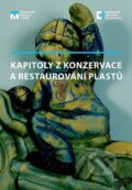 Kapitoly z konzervace a restaurování plastů - Karel Rapouch, Technické muzeum v Brně, 2018