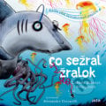 Co sežral žralok - Ludmila Bakonyi Selingerová, Alessandro Ceccarelli (ilustrátor), 2020