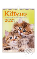 Kittens/Katzenbabys/Koťátka/Mačičky, Helma365, 2020