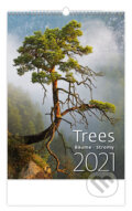 Trees/Baume/Stromy, Helma365, 2020
