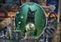 Puzzle: Magical cats (Schmidt). Schmidt