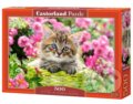 Kitten in Flower Garden, Castorland, 2020