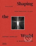 Kniha: Shaping the World (Antony Gormley a Martin Gayford). Thames & Hudson, 2020