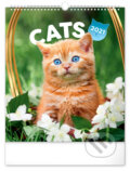 Nástěnný kalendář Cats 2021, Presco Group, 2020